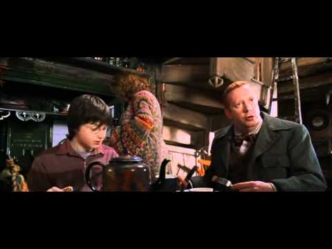 Thumb of When Arthur Weasley Asks Harry About The Purpose Of A Rubber Duck - ‘Chamber of Secrets’ video