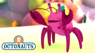 ​@Octonauts - The Hermit Crab | Full Episode 12 | @OctonautsandFriends