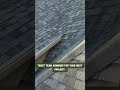 Palm Harbor Roof Replacement Owens Corning Sand Dune Shingles #shorts