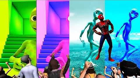 Baby Calm Down FULL HD |  & Rema Official Music Video 2025 4k2025