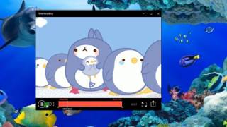 How to Make Animated GIFs screenshot 1