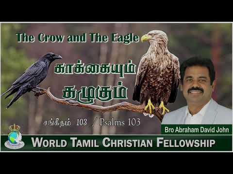 The Crow and The Eagle