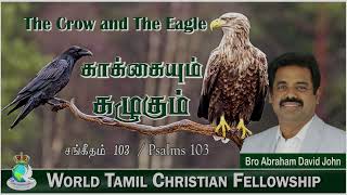 சங்கீதம் 103 | காக்கையும் கழுகும் | The Crow and The Eagle | Psalms 103 #AbrahamDavidJohn 103 5 The Eagle