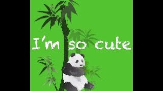 A letter from the giant panda