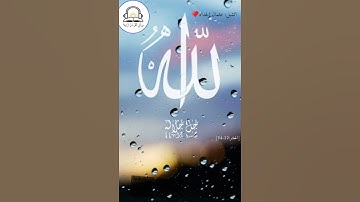 جمال وهدوء الصوت يبكي الحجر |تلاوة للشبل عثمان الحداد حفظه الله ♥