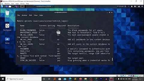 Metasploitable 2 Brute Forcing ssh login  Secure Shell Host  #60