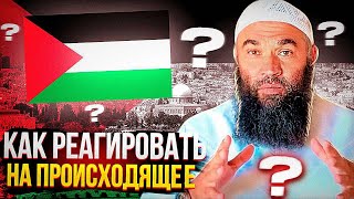 Как реагировать на происходящее: Через призму ШАРИАТА или на основе ЭМОЦИЙ? #Палестина