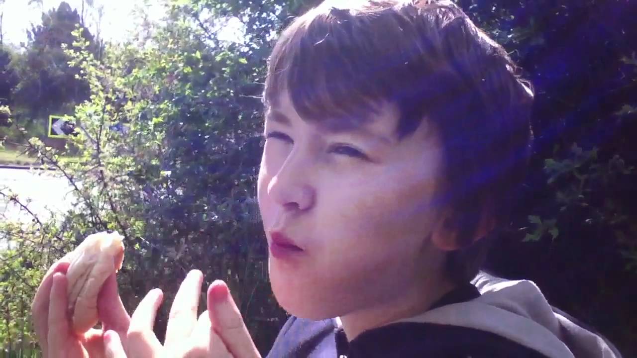 Matt says hi #2 - YouTube