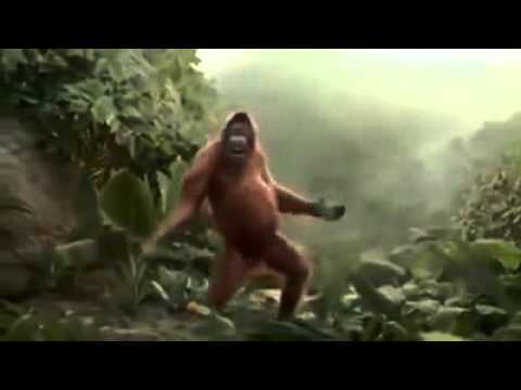 Vidéo: Qui dans la vidéo du singe dansant ?