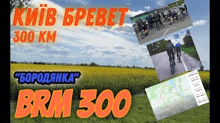 Мій бревет Київ 300 км BRM300 2024 Бородянка