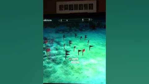 The Weirdest Skyrim Bug I Have Ever Seen