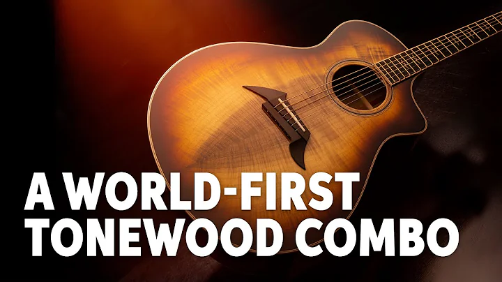 A World First: Breedlove's Amazing New Myrzilian Acoustic Guitar