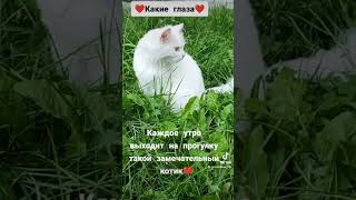 Каждое утро в нашем заведении начинается одинаково ❤️Какие глаза ❤️ Служебный роман ❤️#shorts