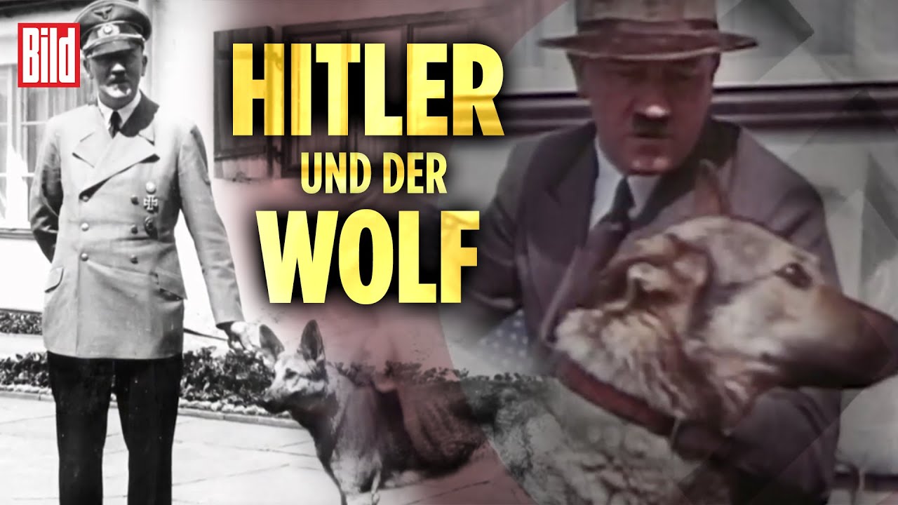 Heinrich Himmler und der NS-Hexenkult – Geheime Nazi-Expeditionen | BILD Doku