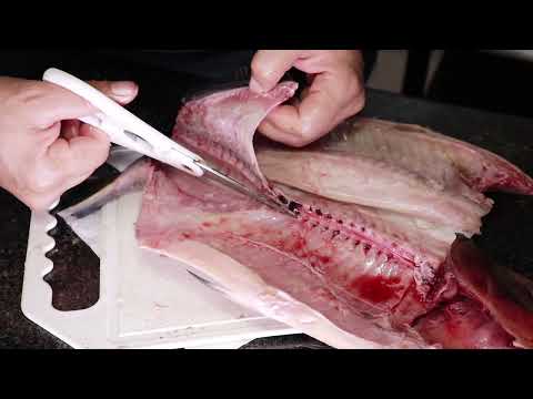 Melhor Vídeo - Como tirar espinhas de peixe, Passo à passo - 1⁰ vídeo #PeixeSemEspinho