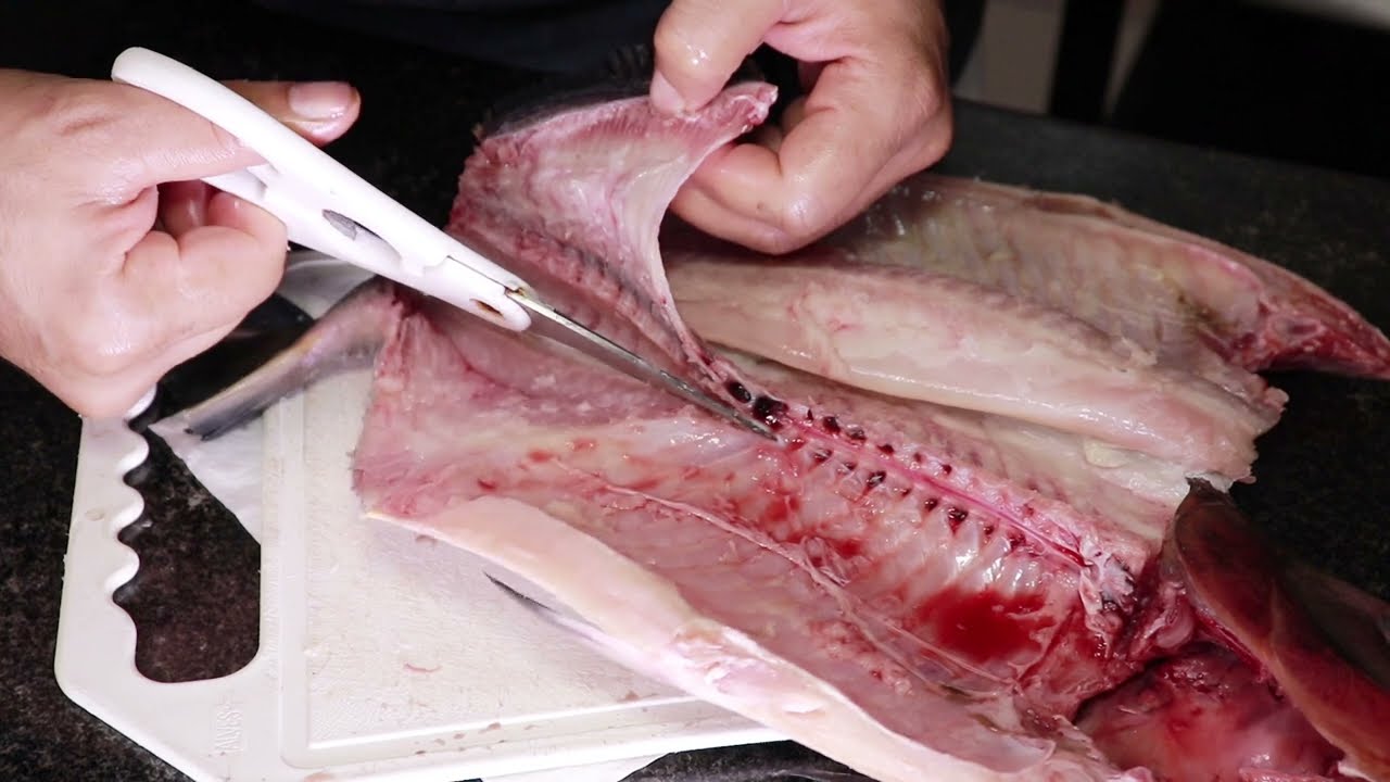 Pacu sem espinhas, COMO TIRAR TODAS AS ESPINHAS - Passo a passo - 1⁰ vídeo #PeixeSemEspinha