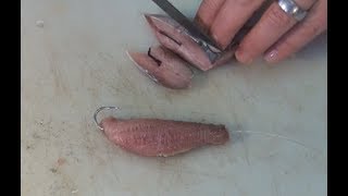 BAITS - Sardine Fillet & Bloody Bomb Bait for Kob & Edible Fish