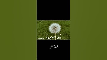 {إنما يوفى الصابرون أجرهم بغير حساب } سورة الزمر القارئ ياسر الدوسري #nada #قرءان #أجر