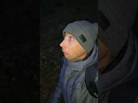 По звёздам #выживание #походы #юмор #приколы #звёзды #тикток #скетчи #выживальщик #топ #ночь #советы
