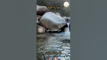 القارئ انس المالك #quranexplore #انشروا_القران #اكسبلور #حالات_واتس