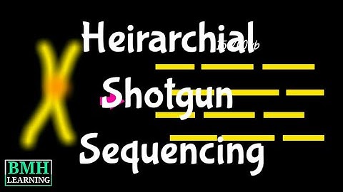 Heirarchial Shotgun Sequencing | Types Of Shotgun Sequencing | Whole Genome Shotgun Sequencing |