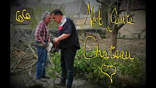 Not Quite a Chateau DIY 66 -  The Chainsaw Gang -  Duelling Chainsaws -   and Optical Illusions