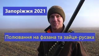 Полювання на фазана та зайця-русака | Запоріжжя 2021 | Ни пуха, ни пера!✨