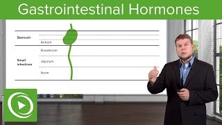 Gi Hormones: Gastrointestinal System – Physiology | Lecturio