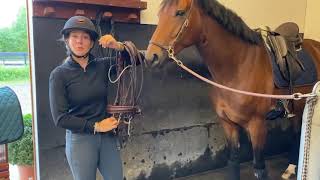 Cathrine Dufour | Neue Schule & Espe