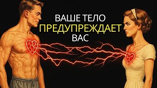 : 8 ,  ,    ,     - |   