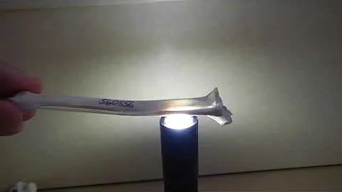 Candling medullary bone in bird skeletons