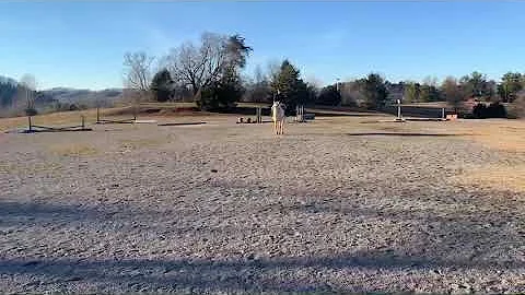 Jessica Sellers showing Magic Kingdom: Freestyle W...