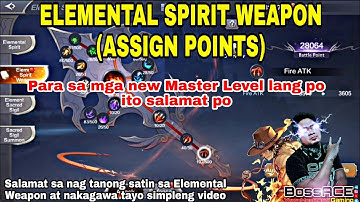 MU ORIGIN 2 - Elemental Spirit Weapon Assign Points