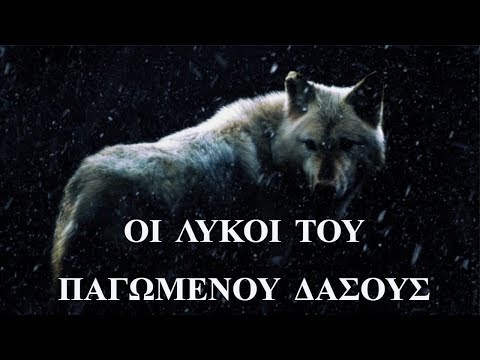 Βίντεο: Ποιες είναι οι μορφές του δάσους;