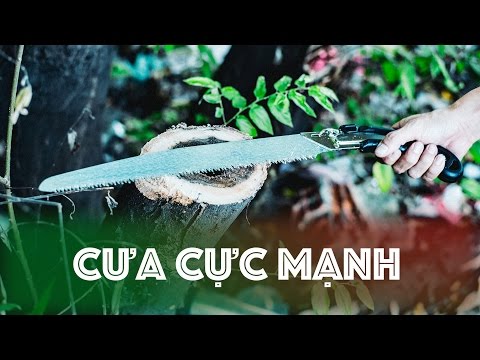 Video: Cưa Tay