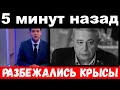 5 минут назад / разбежались крысы.! / напали на семью Петросяна.