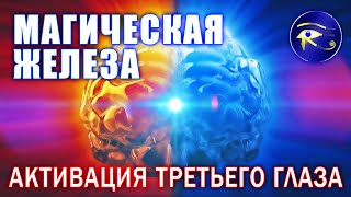 Шишковидная Железа ● Медитация - Активация Шишковидной Железы Эпифиза, Активация Третьего Глаза