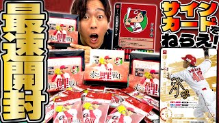 ドリームオーダー　広島東洋カープ　赤き鯉戦士　2BOX プロ野球カードゲーム DREAM ORDER 球団ブースター 広島東洋