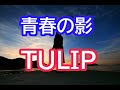 青春の影 / TULIP チューリップ 財津和夫 昭和の名曲 1970年代 歌詞字幕 カバー