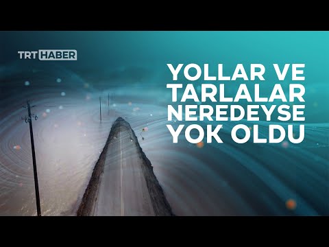 Video: Kaliforniya'da sel mi var?