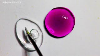 Mikro Ekzotermik Reaksiyon