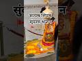 सत्यम शिवम सुंदरम भजन 🚩🙏 #bhajan #bageshwardhamsarkar #bageshwardham #sankar #bholenath #bageshwar