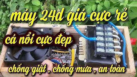 kích cá nước mặn | máy kích cá nước mặn 24d giá rẻ bắt cá nước mặn lợ ngọt tổng hợp các loại cá