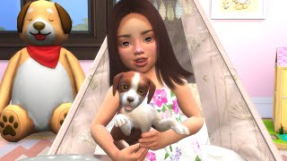 BEST FRIENDS UNTIL THE END | BIRTH TO DEATH (DOG EDITION) | THE SIMS 4: STORY by Curious Simmer 150,892 views 4 years ago 29 minutes