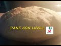 PANE CON LICOLI COME UTILIZZARLO mantenimento licoli e rinfreschi LICOLI pane fatto in casa
