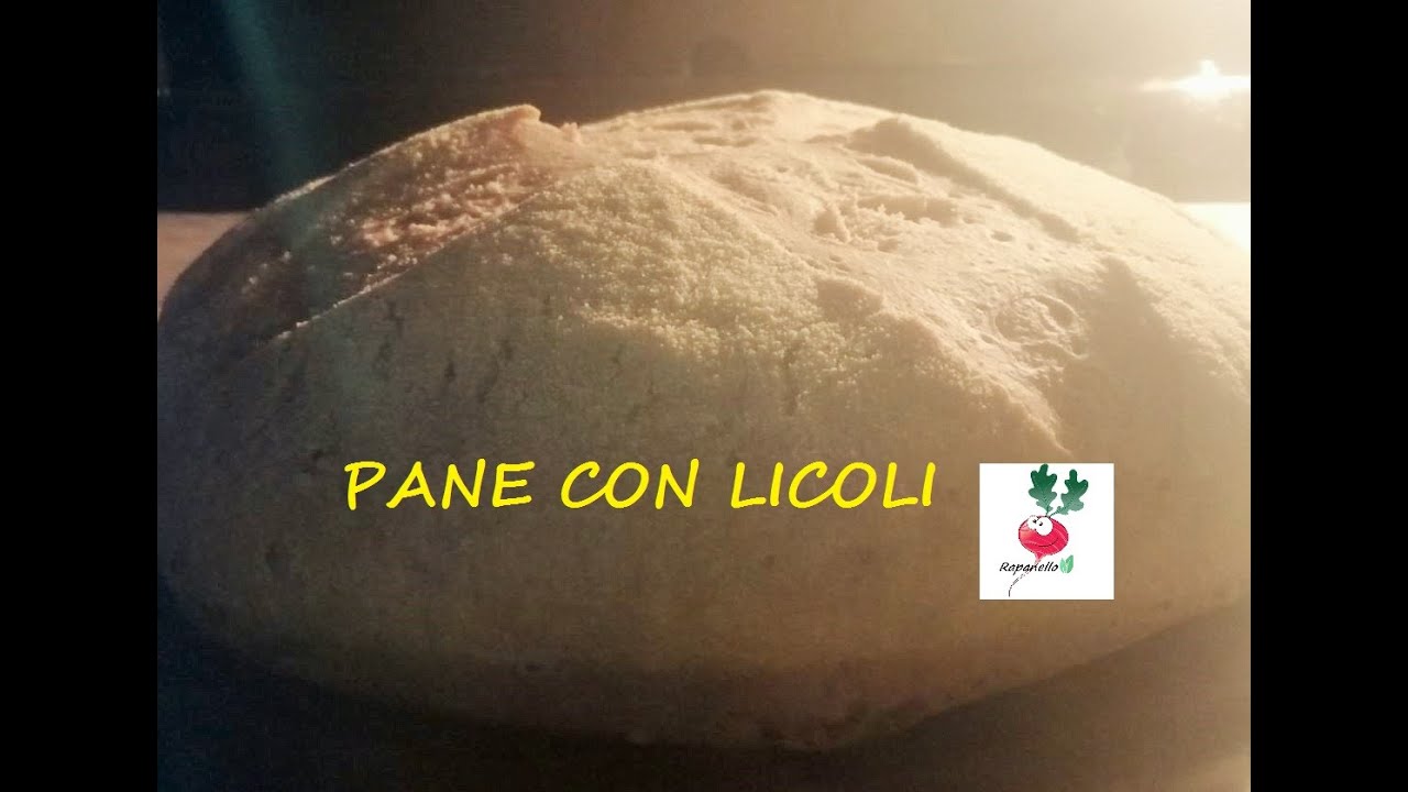 PANE CON LICOLI COME UTILIZZARLO mantenimento licoli e rinfreschi LICOLI pane fatto in casa