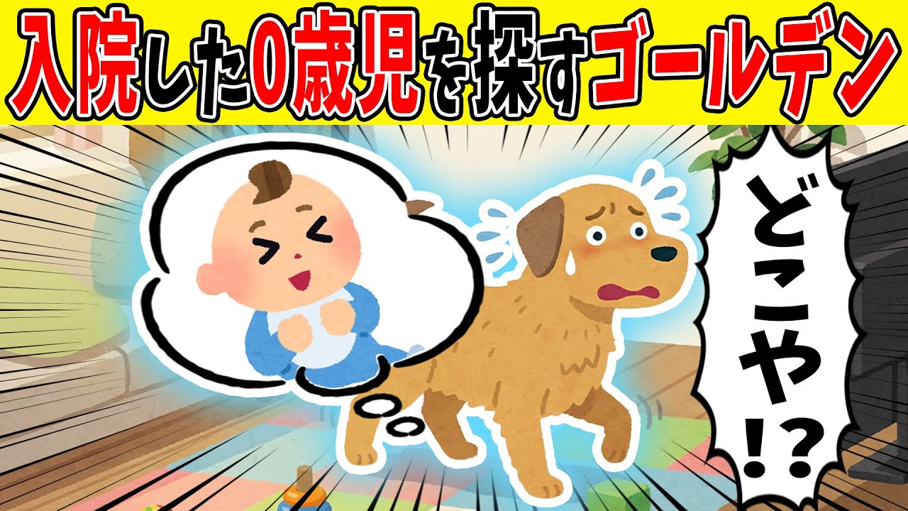 【感動】ウチの犬さん、入院した1歳児が心配すぎる【ゆっくり】