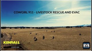 COWGIRL 911 - LIVESTOCK RESCUE - PATIO V