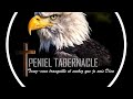 #Peniel Tabernacle / Mont-Ngafula