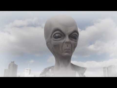 눈의꽃.avi